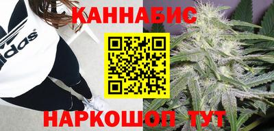 стаф Малгобек