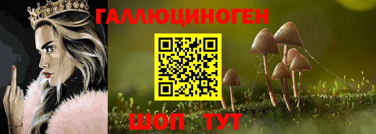 Янаул  купить закладку  Вход с VPN  Галлюциногенные грибы MAGIC MUSHROOMS 